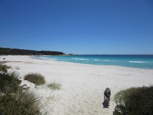 Bay of  fires